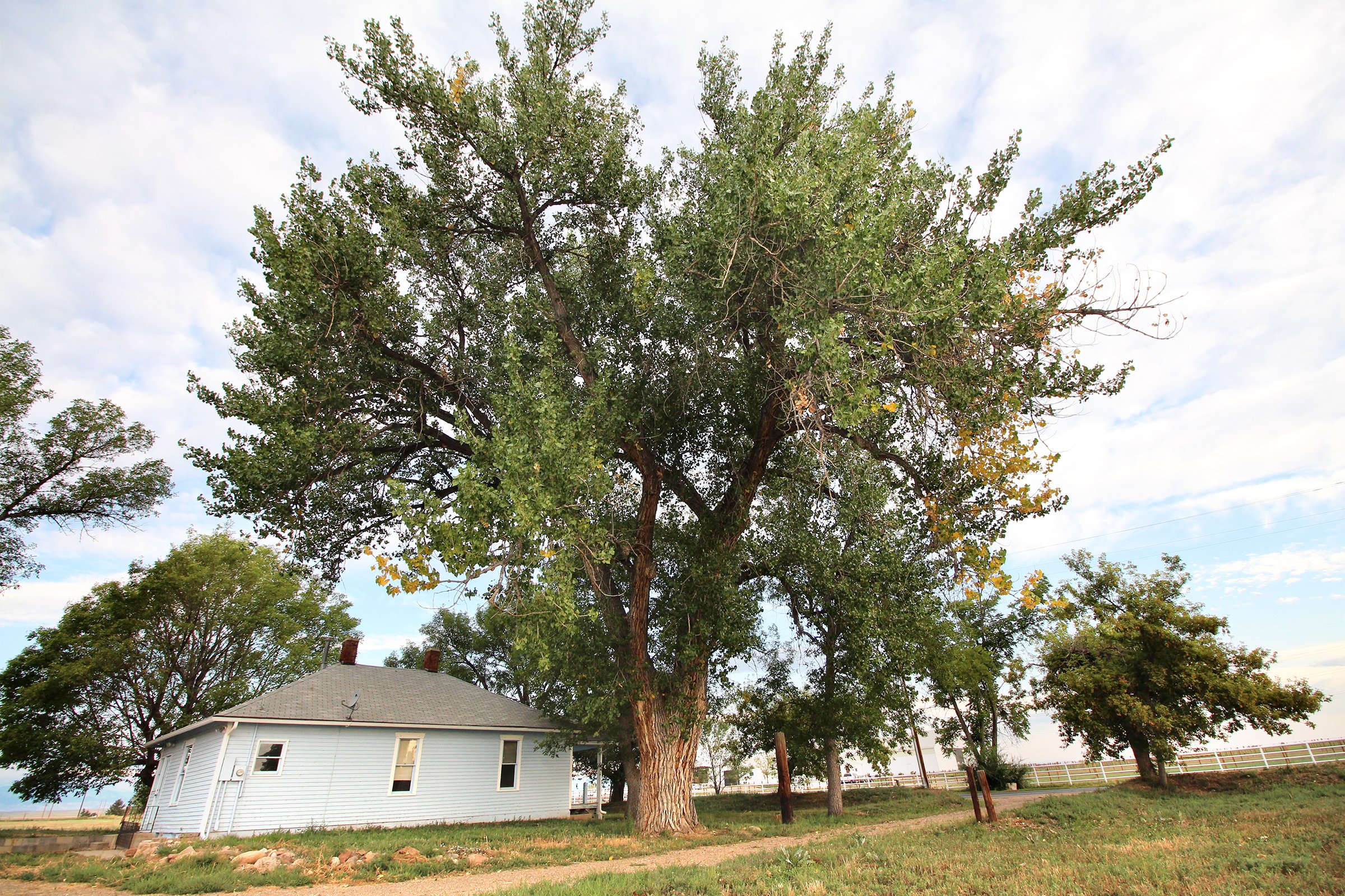 Property photo 14 - LAND & WATER RIGHTS AUCTION - 33+/- ACRES & 67 WATER UNITS/SHARES IN 26 TRACTS IN BOULDER COUNTY, CO